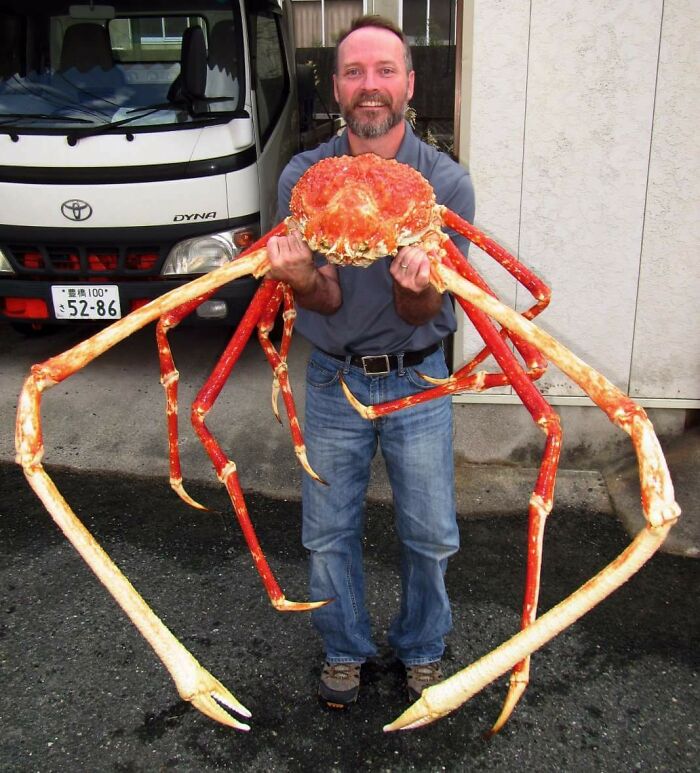 Japanese Crab!