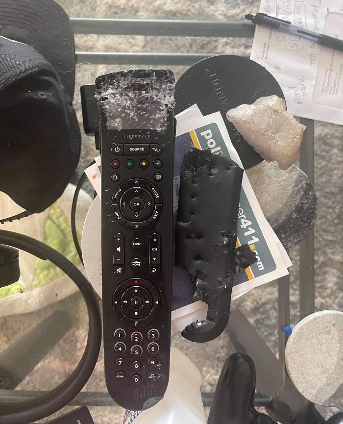 Dog Decided My Expensive Remote Was A Chew Toy