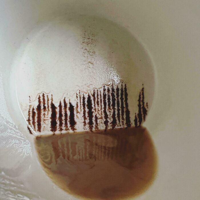 Coffee Grounds Remain At The Bottom Of A Cup That Looks Like A Painting Of Foggy Forests After Rain