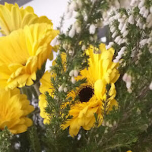 tatianaferreira avatar