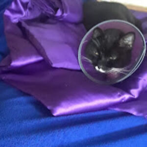 rebeccawalter avatar