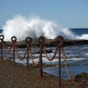 lynettecridge avatar