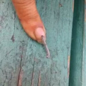 angelinasalazar avatar