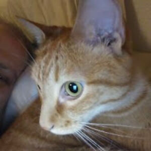 joshuaanderson_1 avatar