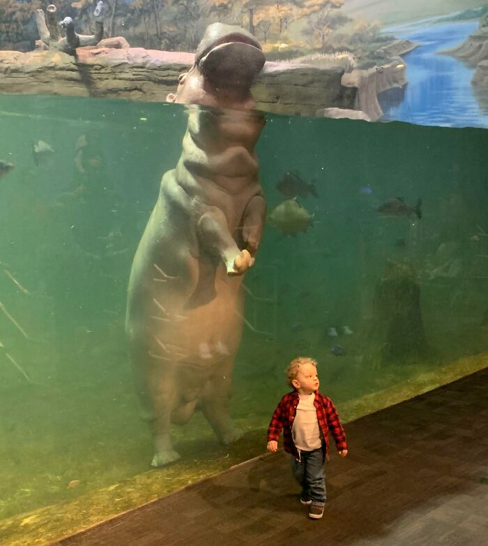 Unit Of A Hippo At NJ Aquarium
