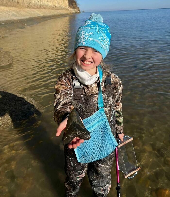 9 Year Old Maryland Girl Finds 15 Million Year Old Megalodon Tooth In The Chesapeake Bay