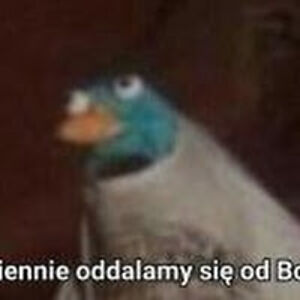 tadziwnakaczka avatar