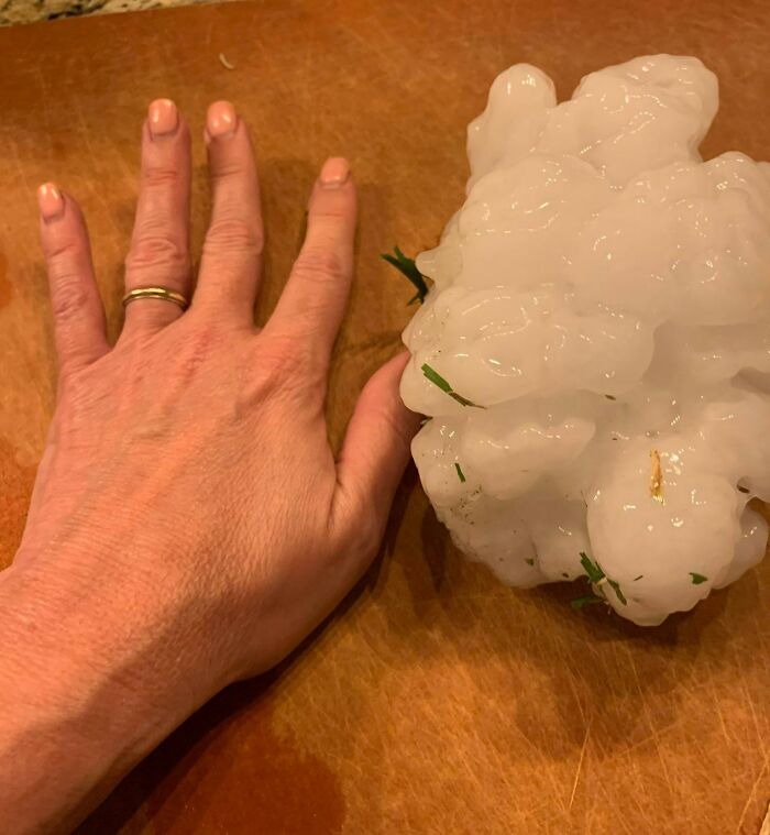 Hail And Human Hand For Scale
