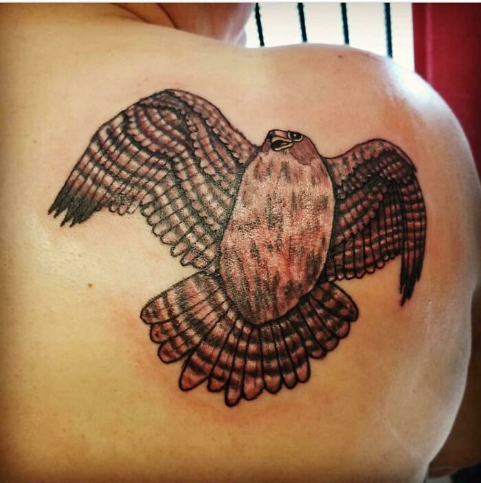 Brown poor styled Falcon tattoo 