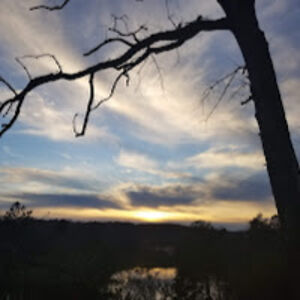 jessicachickenpotpieswanson avatar