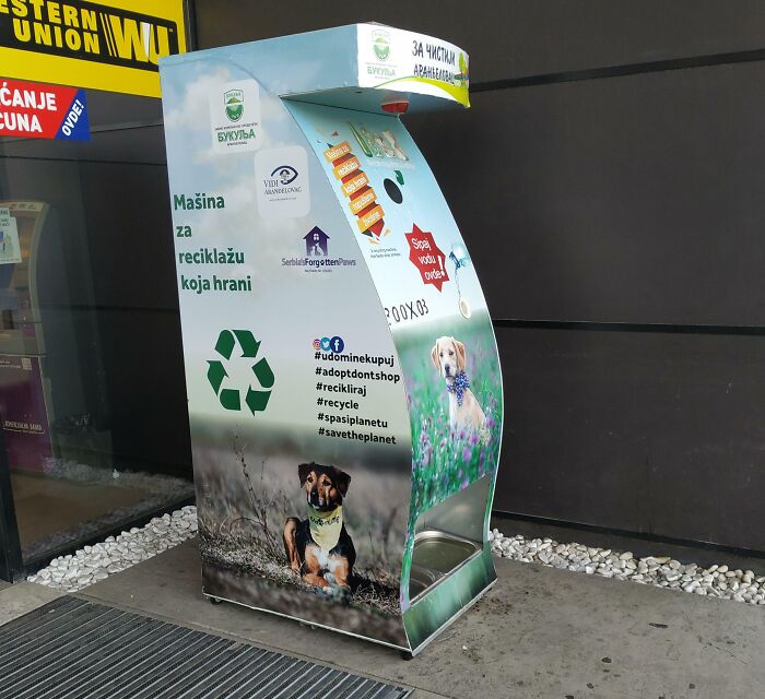 A Town In Serbia Started Using Recycling Machines That Also Feed Stray Dogs