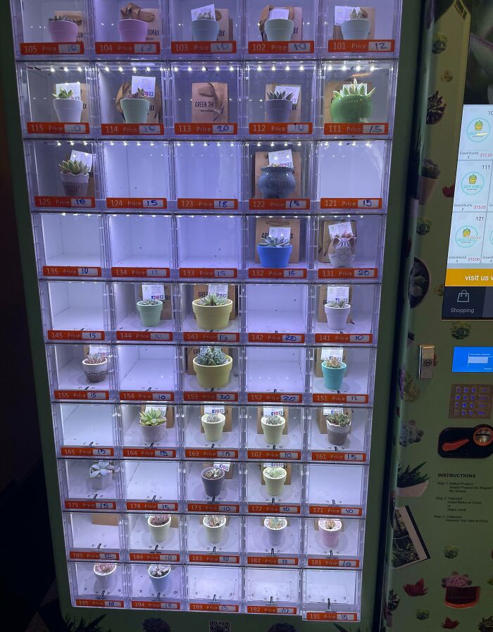 Máquina expendedora de suculentas en un centro comercial cercano 