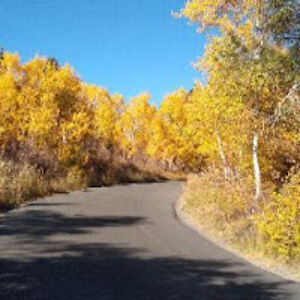 evelynhinckley avatar