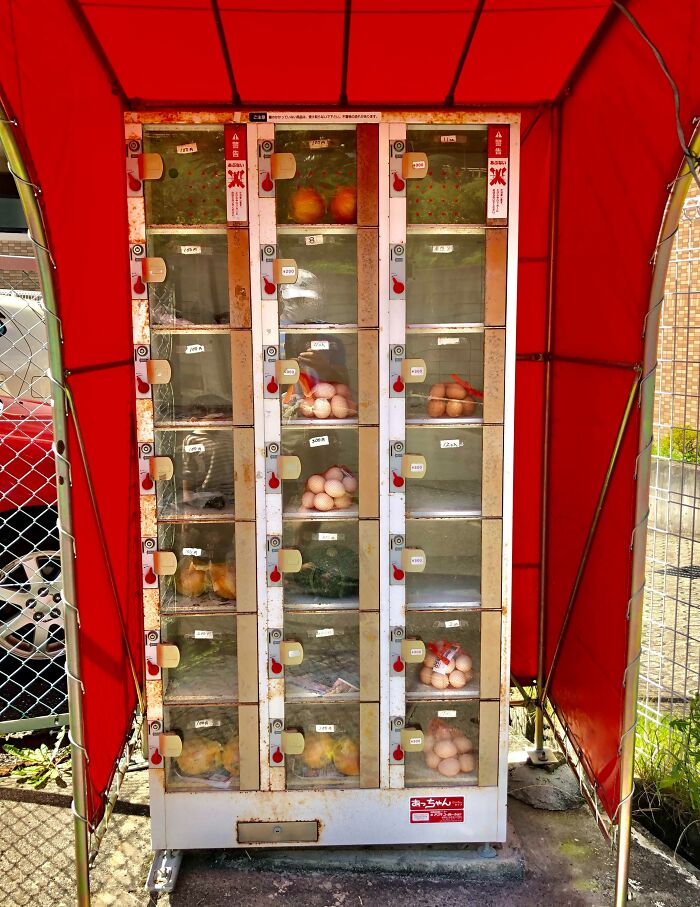 Oldschool Japanese Vending Machine That Sells Eggs, Onions, Kabocha, And Other Sundries