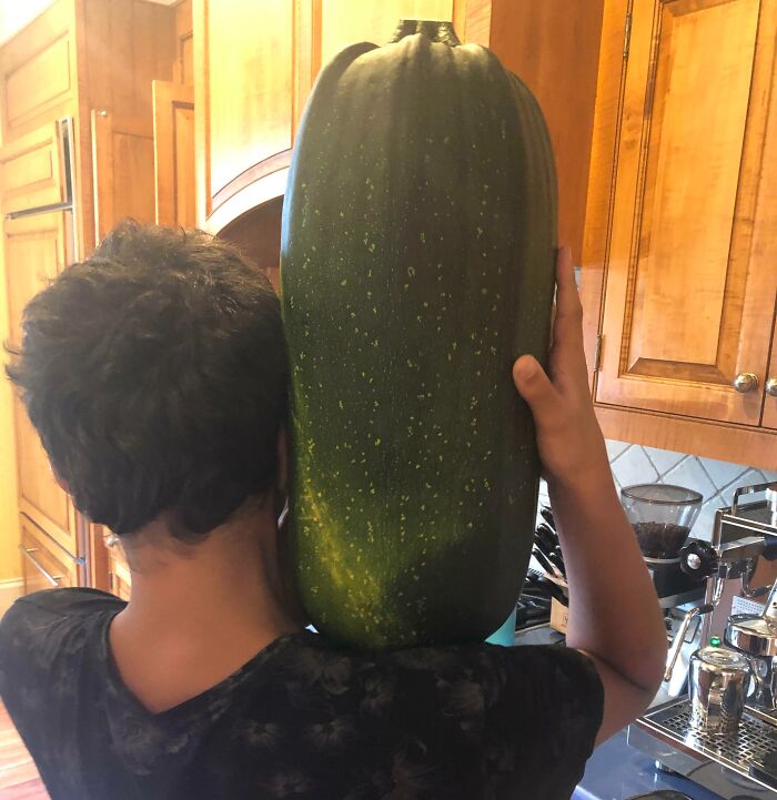 This Zucchini That’s Bigger Than A Small Child