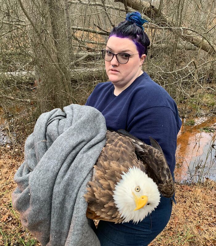 I Never Realized Eagles Were This Big