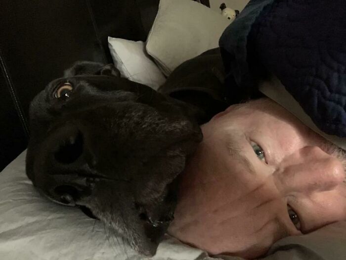Waking Up With A Great Dane