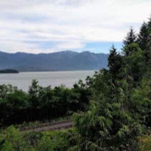 jacquestoupin avatar