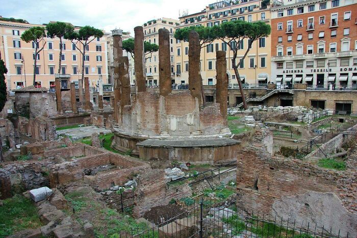 El sitio donde Julio César fue asesinado es ahora un santuario para gatos