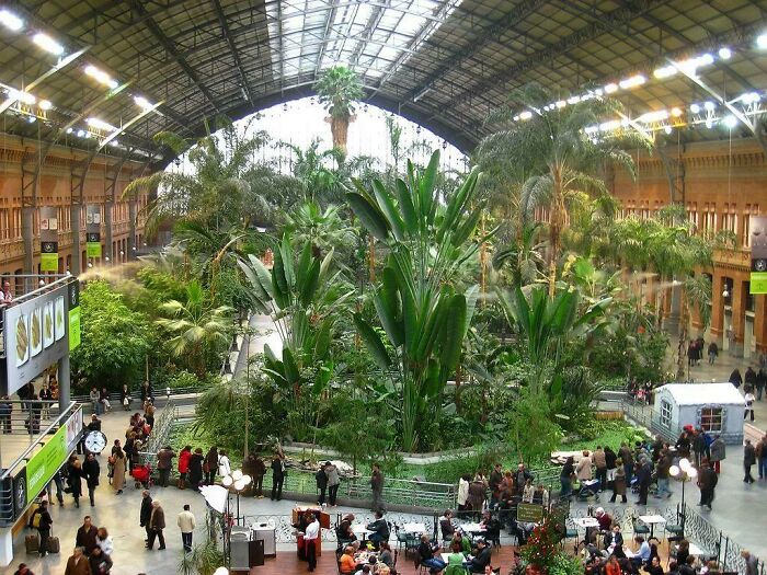 Jardín tropical en la estación de Atocha, en España. Este edificio fue una antigua estación de trenes, antes de que se ampliara la red de transportes para incluir a los trenes de alta velocidad
