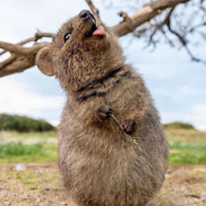 diarraboussodiouf avatar