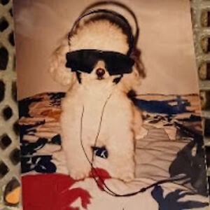 josephcalogero avatar