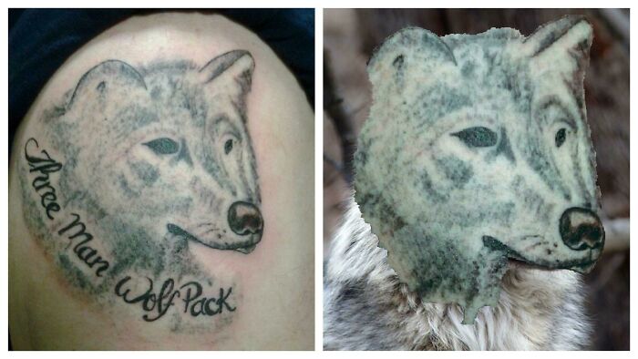 It Turned Out Better Than I Anticipated... But That's Still Not What A Wolf Looks Like