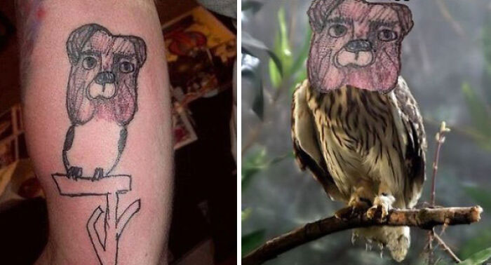 I Think It's An Owl