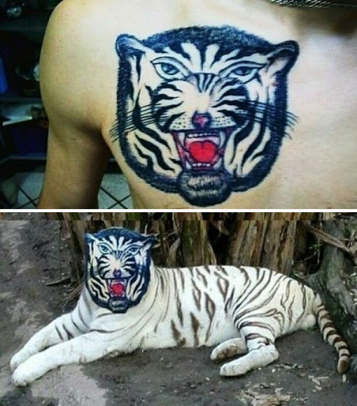 White Tiger