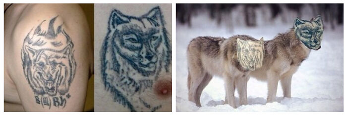 Wild Wolfs