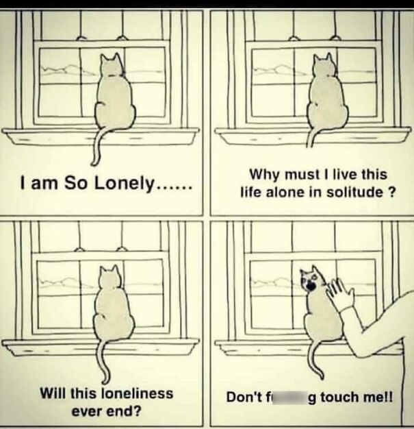 Am So Lonely!