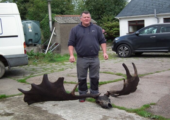 10,000 Year Old Skull And Antlers Of An Extinct Elk Found By Fishermen In Ireland