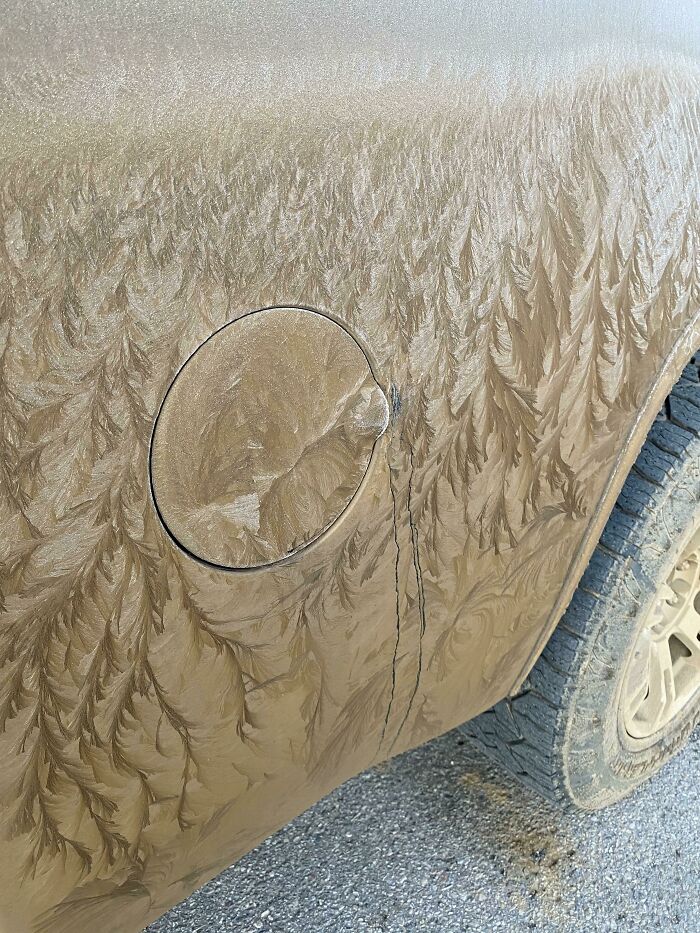 La forma en que el barro se congeló en mi camión parece una pintura de un bosque