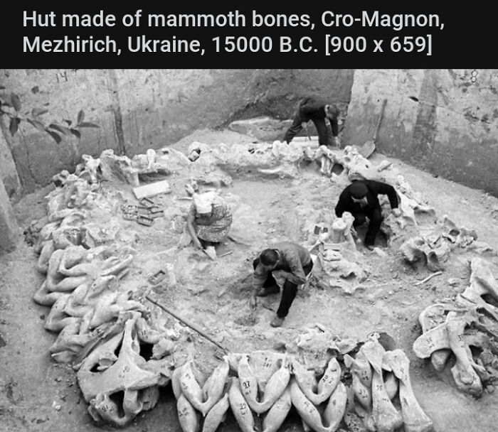 Mammoth Hut