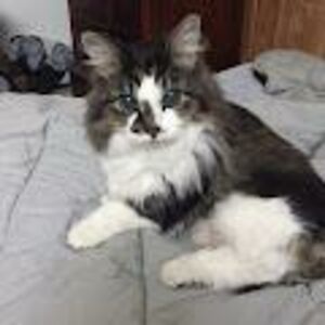 ellenkrumholz23_24 avatar