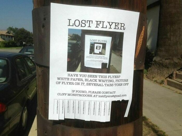 Lost Flyer
