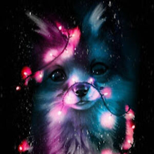 brooklynrinehart avatar