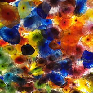 wanderlustoceans avatar