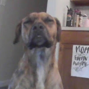 kathrynstewart avatar