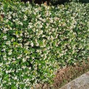 ph_bellin2018 avatar