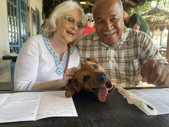 My Puppy Penny Meeting My Grandparents For The First Time