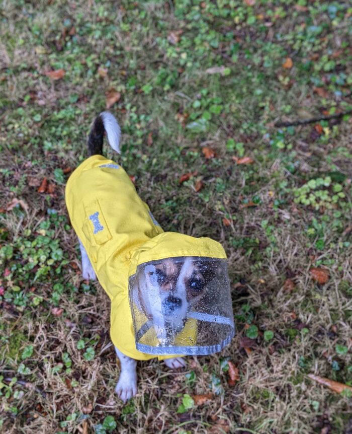 If It Rains, She Won't Go Out Without It