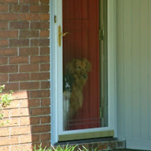 patriciamullins avatar