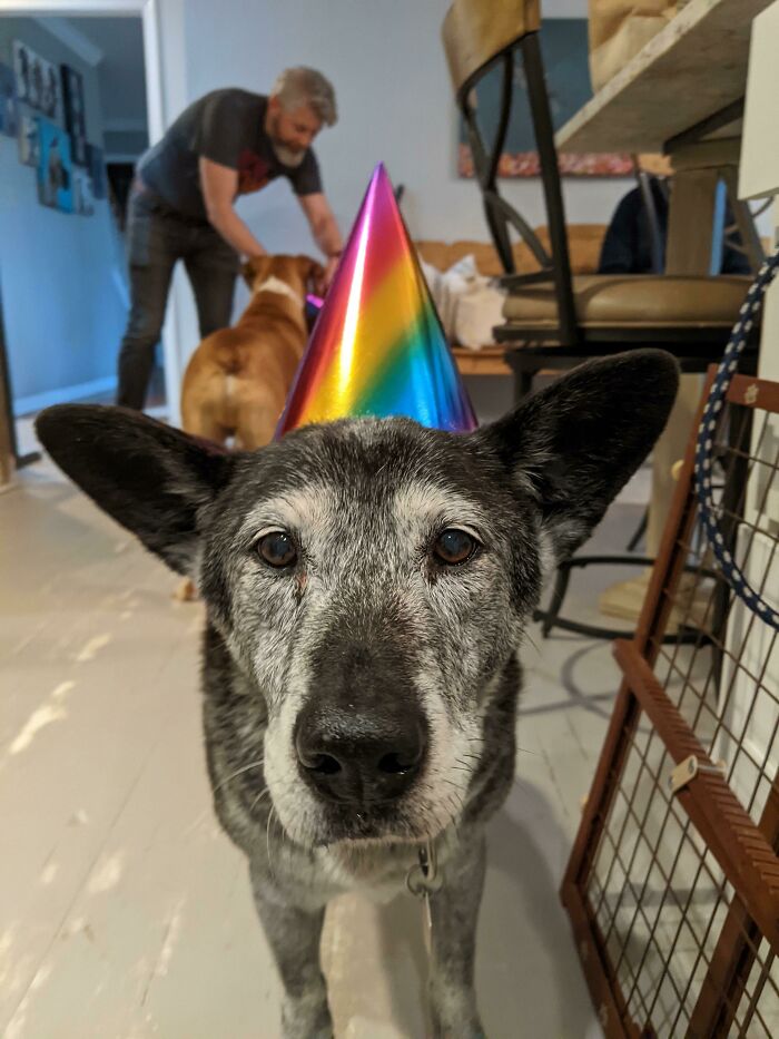 Proton Celebrated Her Sweet Sixteen Today!