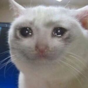 axiayzabellararama avatar