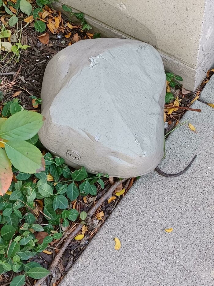 What Are These Fake Rocks I Keep Seeing Around Campus??