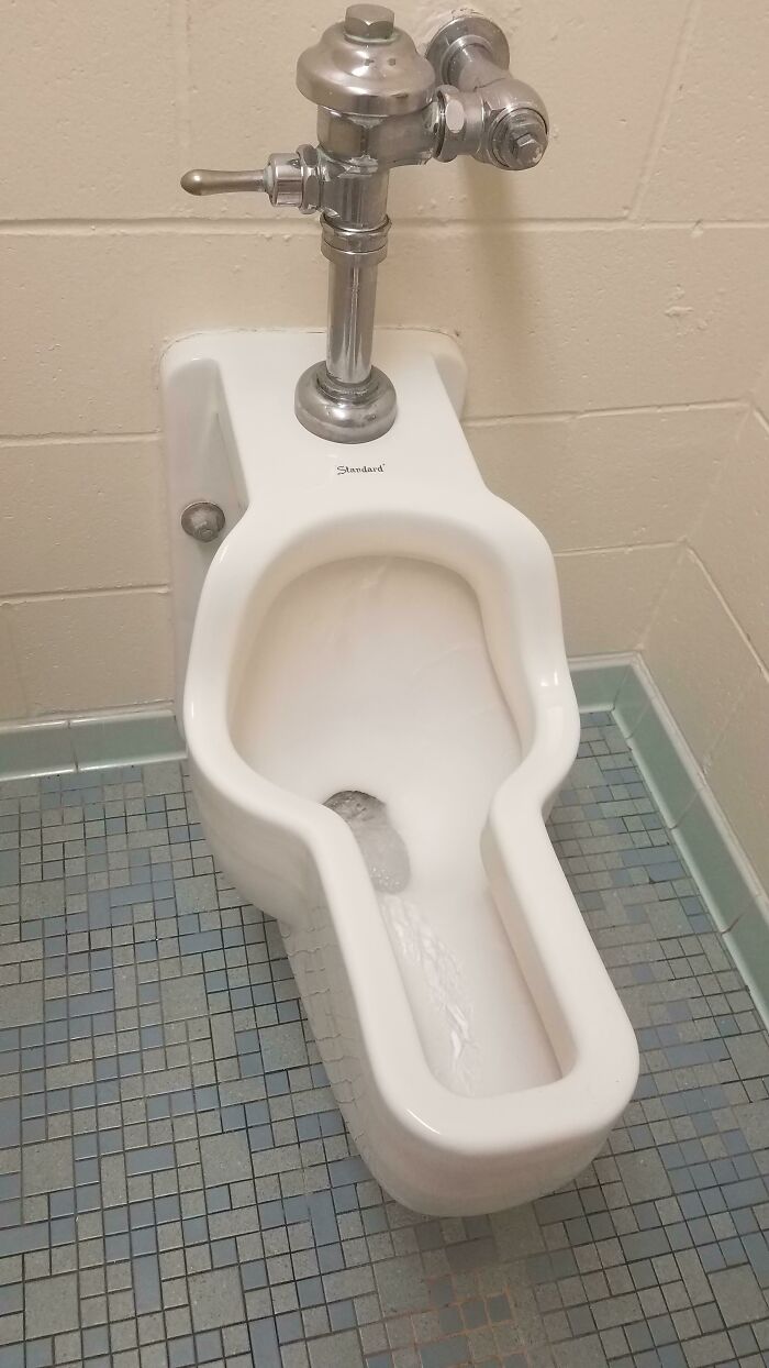 What Is The Purpose In Design Of These Odd Toilets In My Dorm Building?