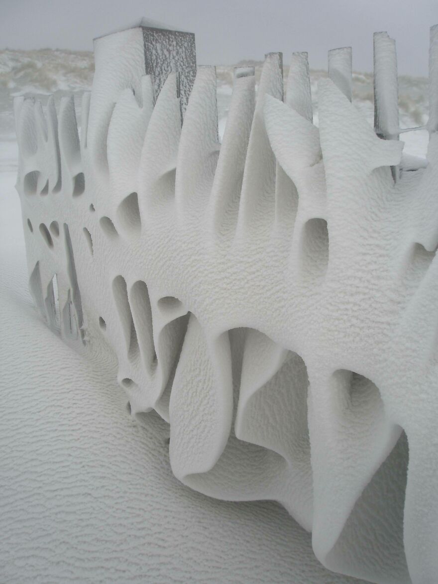 Art Only Nature Can Create. My Fence This Morning After A Snowy Night On Terschelling, The Netherlands