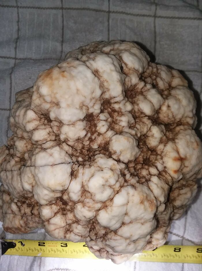 BF Had For 33 Years, Heavy, Hard, Rattles Inside. Thinks It's A Geode,not Sure. Any Ideas? Central Wisconsin