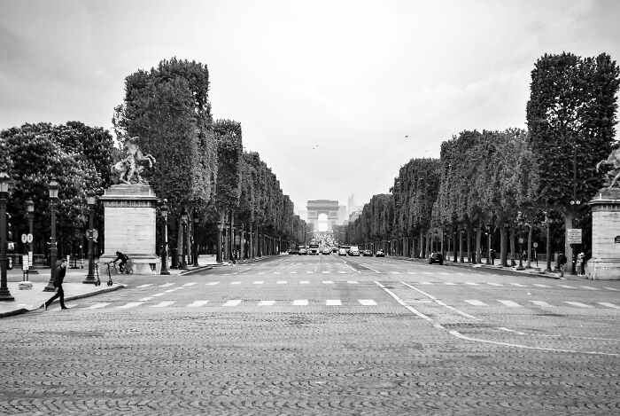 Black and white picture of Avenue des Champs-Elysees avenue 
